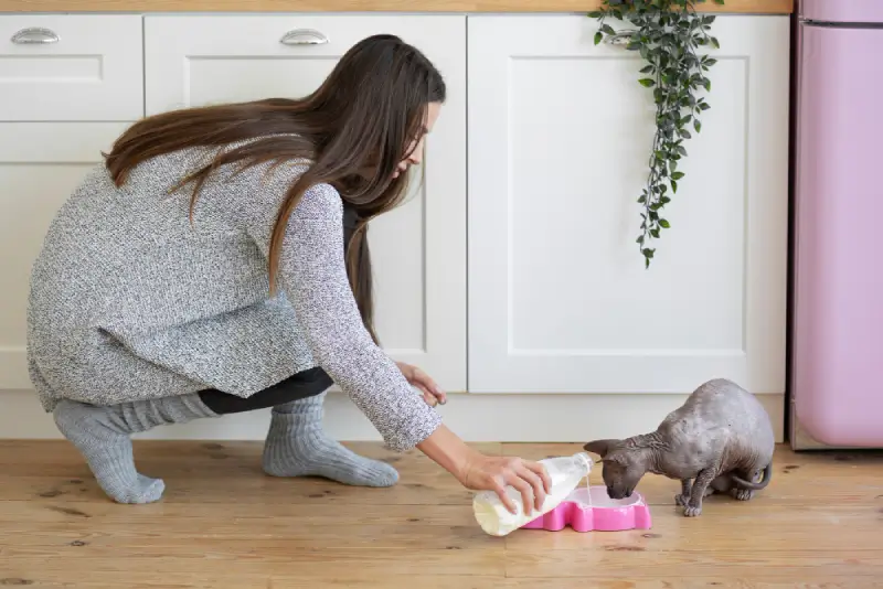 carpet-sofa-couch-mattress-curtain-chair-ottoman-rug-cleaning-miami-aventura-usapurecleaningus